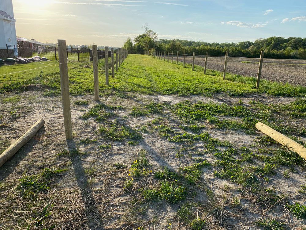 Chesapeake Seeding, Fertilizing and Liming, Liming, Straw Chesapeake Seeding, Fertilizing and Liming, Liming, Straw