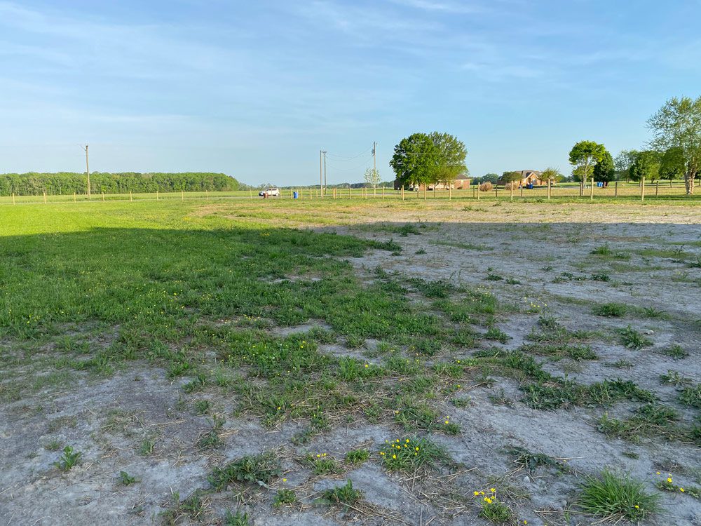 Chesapeake Seeding, Fertilizing, & Liming, Straw Chesapeake Seeding, Fertilizing, & Liming, Straw