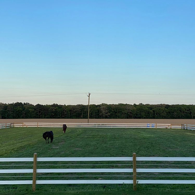 Chesapeake Seeding, Fertilizing, & Liming, Straw