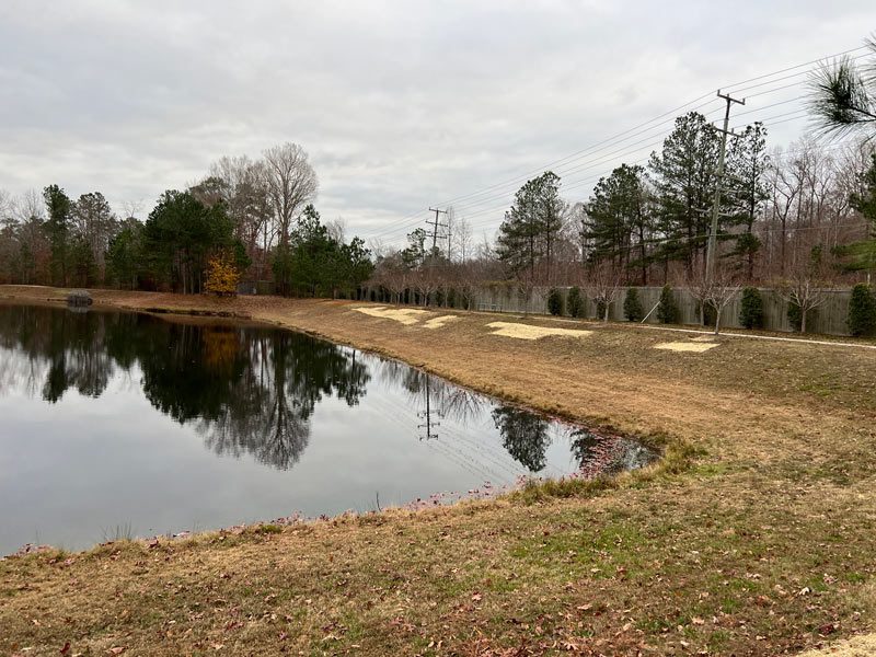 ewport News, Storm Basin Cleanout, Erosion Control, seeding, Fertilizing, Liming, EC-2